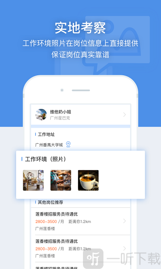 招聘猫