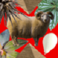 無夢房間