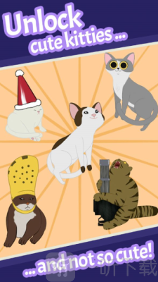 猫咪拍黄瓜