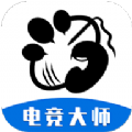 飞火电竞大师