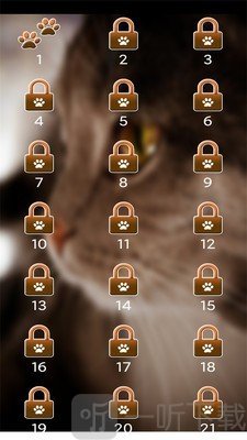 找猫2