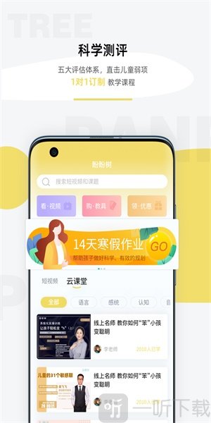 盼盼树