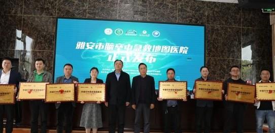 脑卒中急救地图