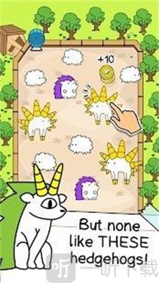 刺猬进化