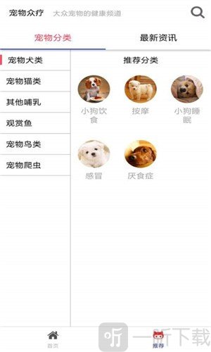 宠物众疗