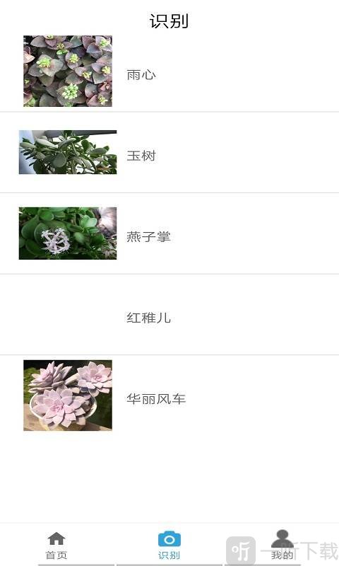 品植