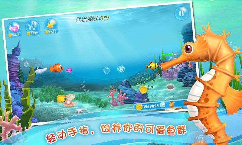 经营水族馆