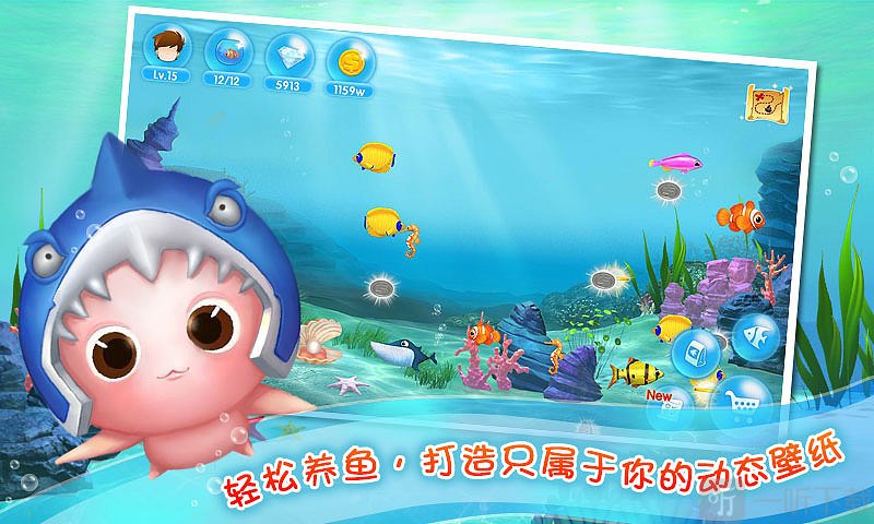 经营水族馆