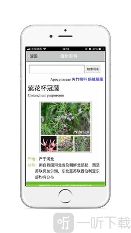 晓草