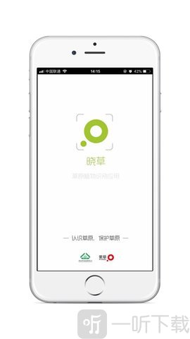 晓草