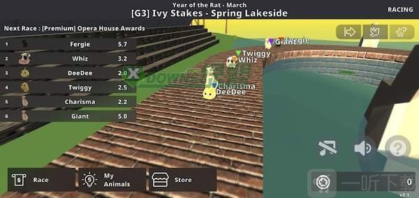 可爱动物赛跑比赛