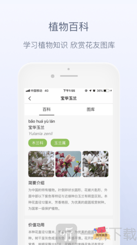 花伴侣