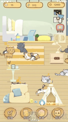猫宅97