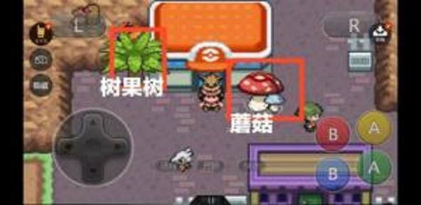 精灵宝可梦回响之音