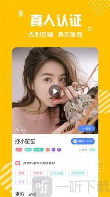 蜜熊聊天