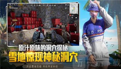 雪豹画质助手