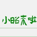 小昭来了