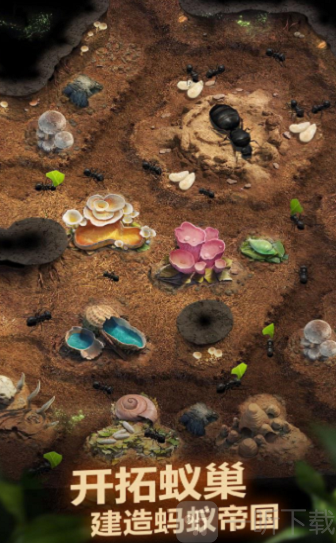 planet ant