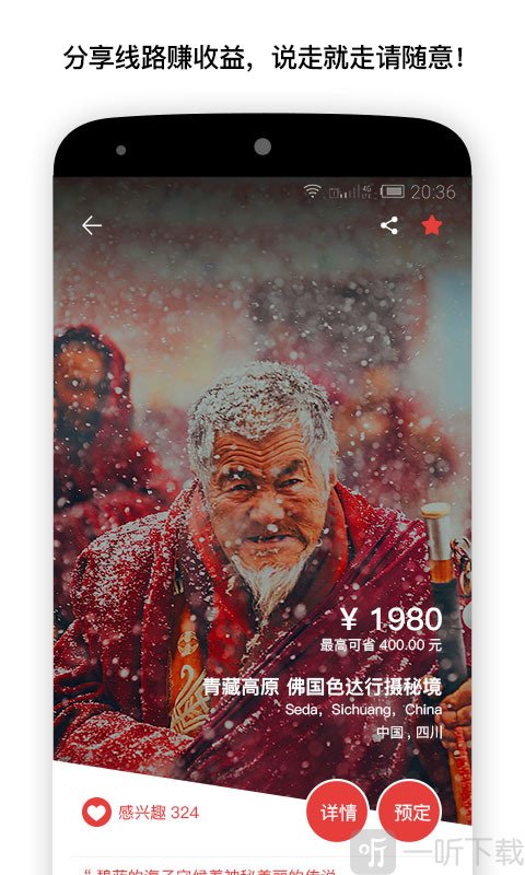 笨鸟旅行