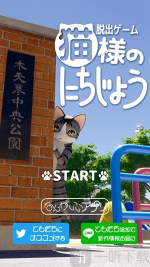 猫的日常