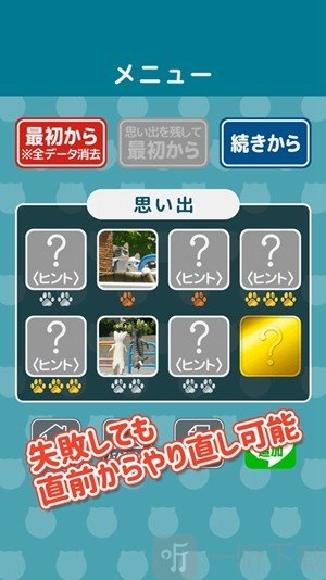 猫的日常