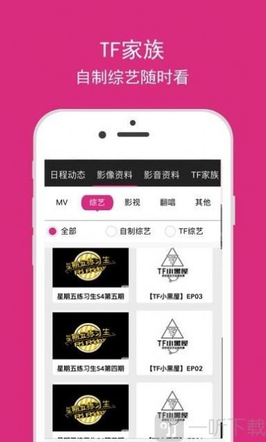 tf家族三代