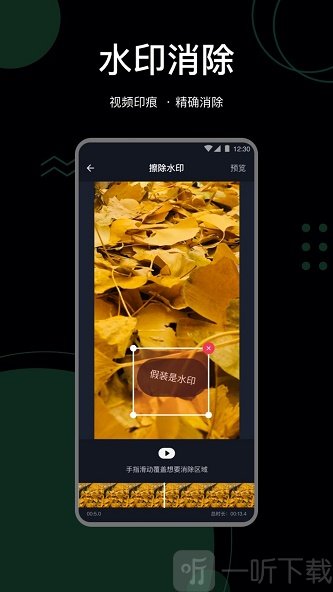 抖快去水印