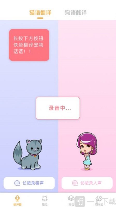 猫语翻译大师