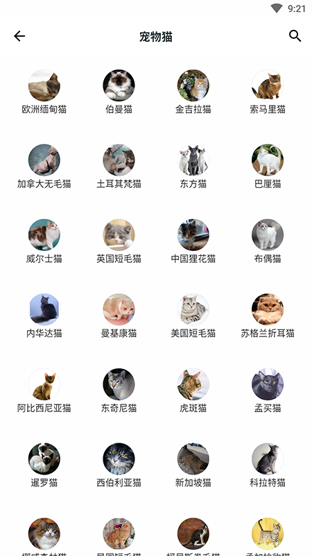 动植物大全