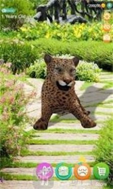 会说话的猎豹