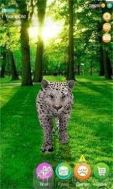 会说话的猎豹