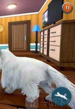 猫和女佣