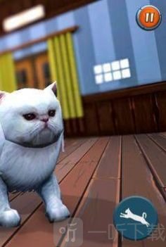 猫和女佣