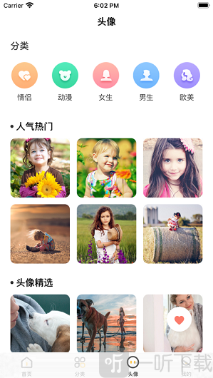 黄鼬壁纸