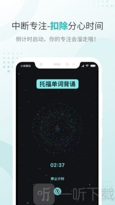 飞鱼专注