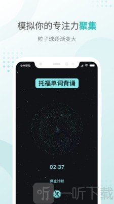 飞鱼专注