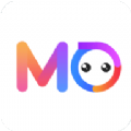 約MO