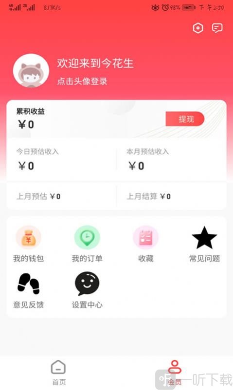 今花生