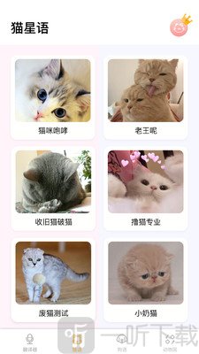 翻译猫语
