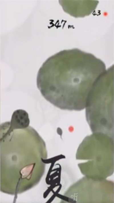 墨虾探蝌鲨鱼