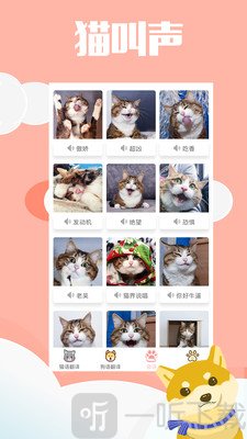 咪呜