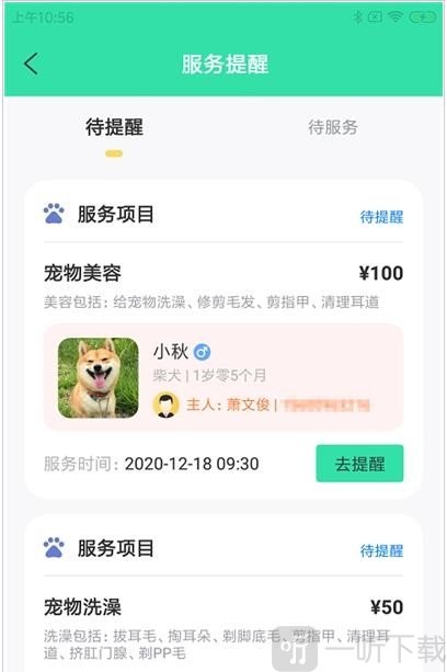 奇飞宠掌馆
