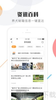 K9犬网