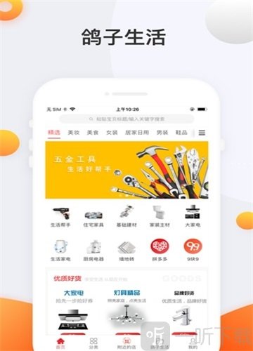 鸽子生活