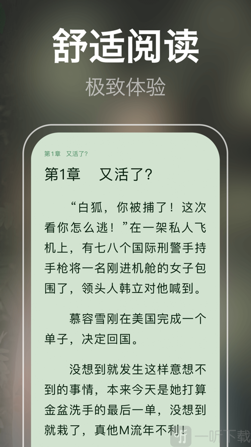 芃狐免费小说