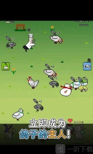 鸽子战争
