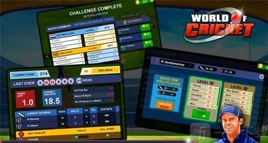 World Of Cricket