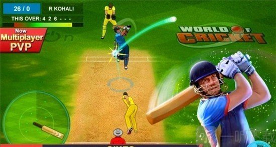 World Of Cricket