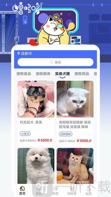 噜哆哆宠物