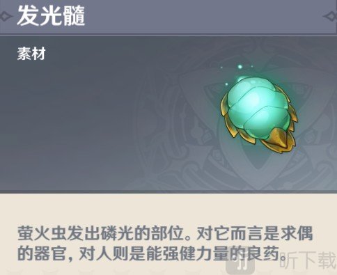 原神萤火虫哪里最多的位置一览  萤火虫刷新时间位置分享